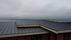 Sheet Metal Roofing in Shavertown, PA